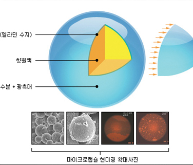 회사설명