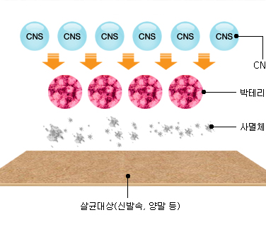회사설명