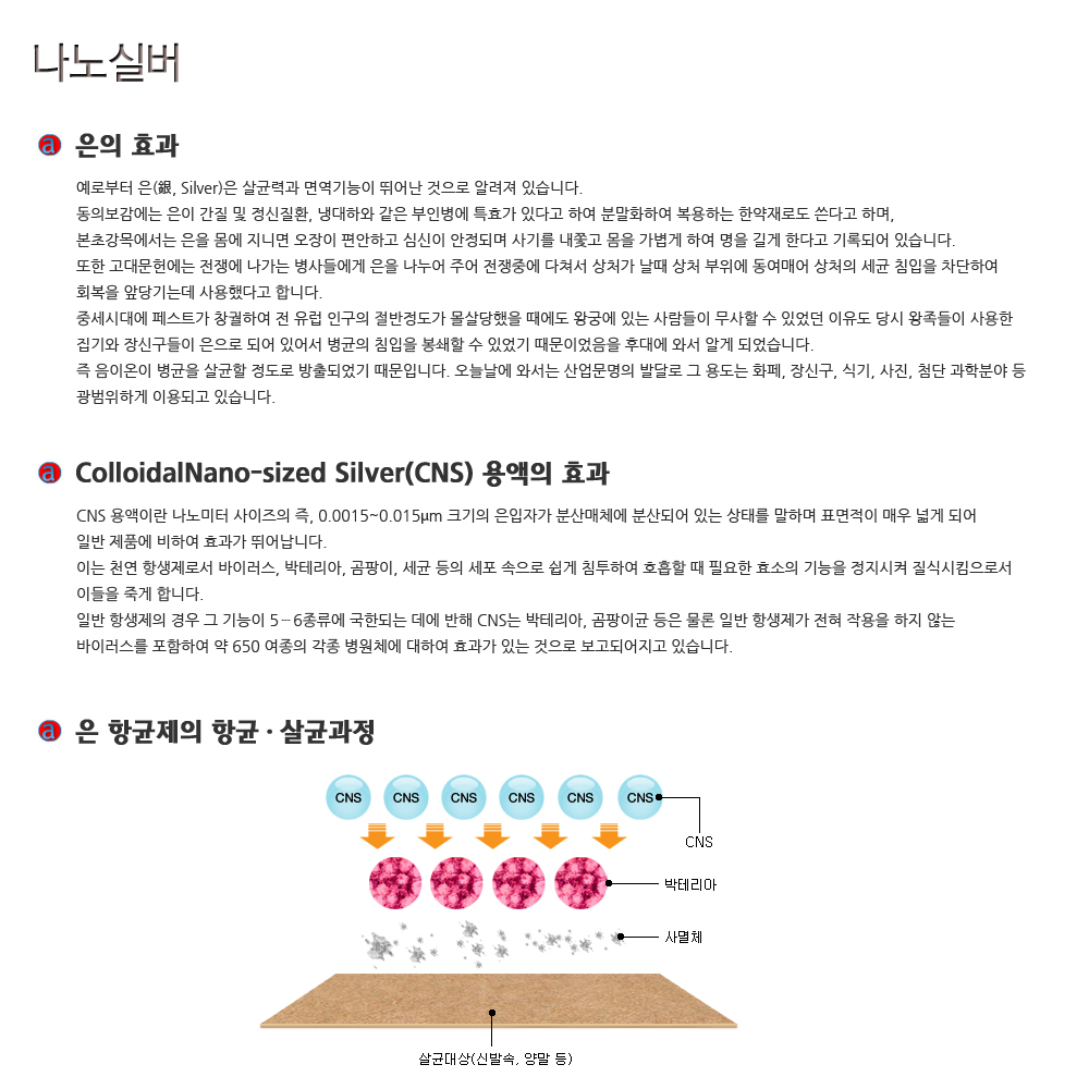 나노실버